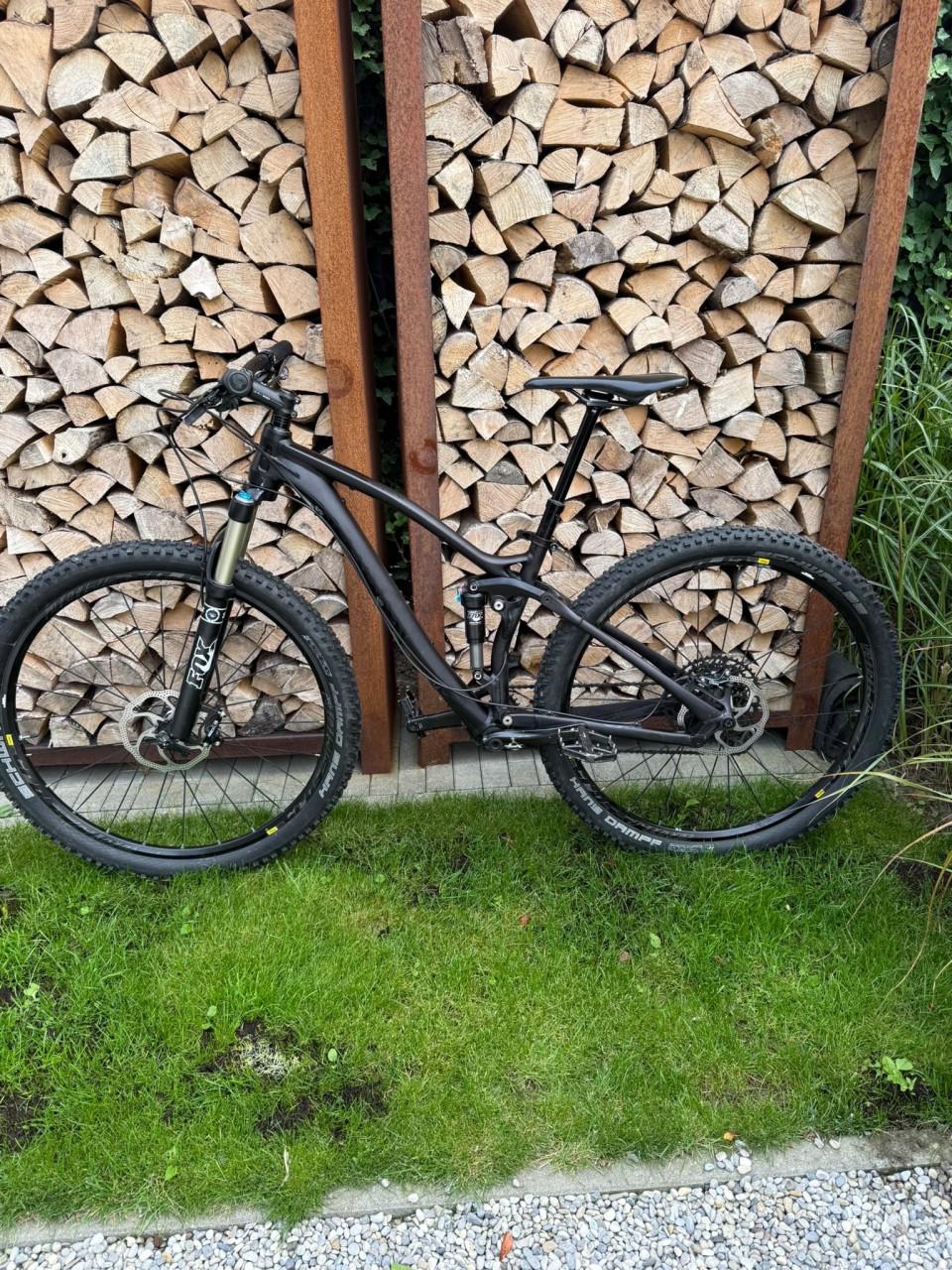 Mountainbike Canyon Nerve full suspension