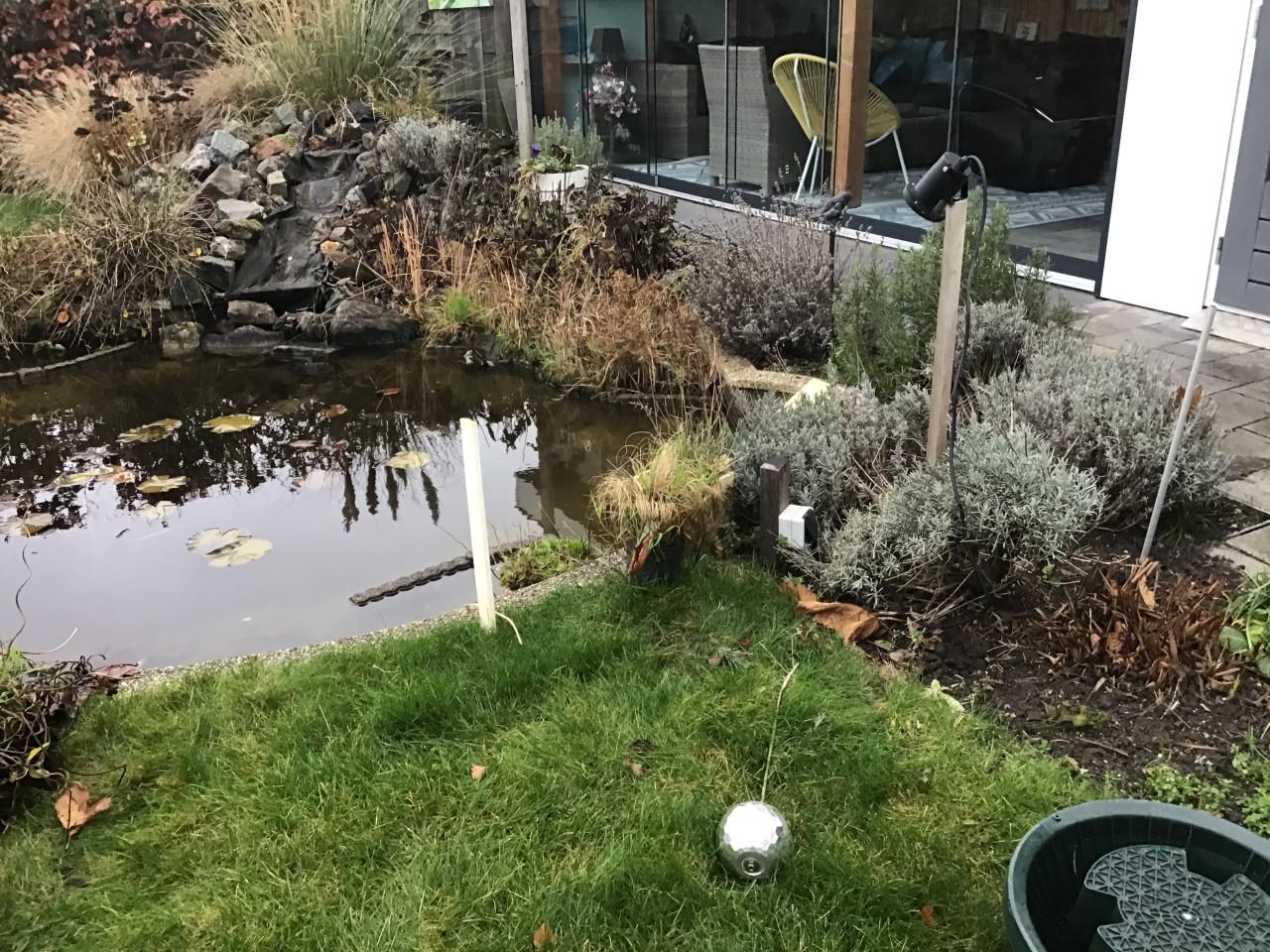 Vijverstenen, vijverplanten , kruik, etc