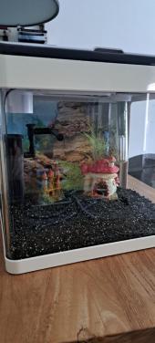 Aquarium