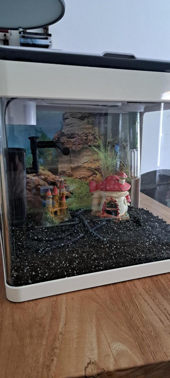 Aquarium