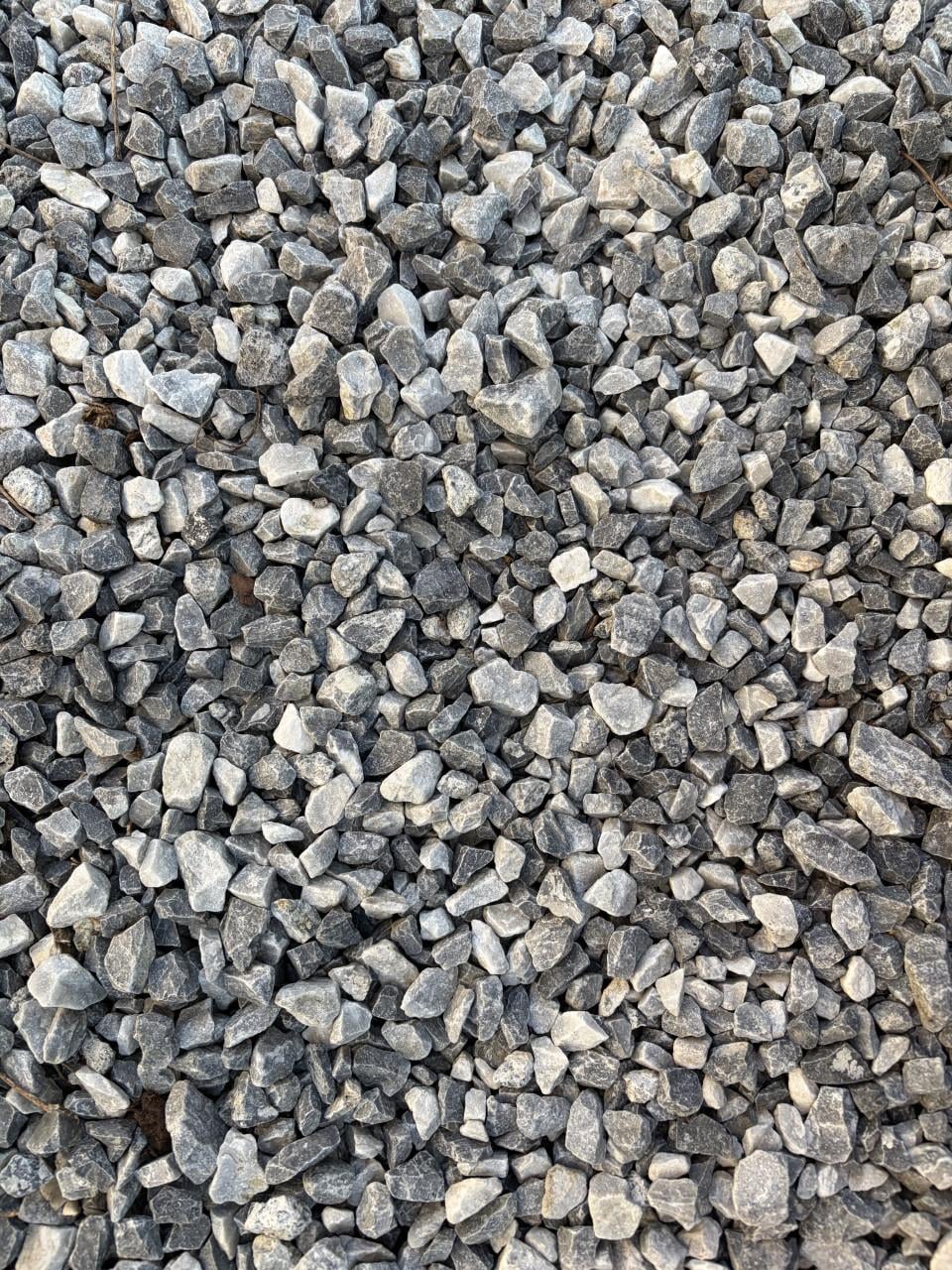 Gratis af te halen 130m2 siergrind tuin