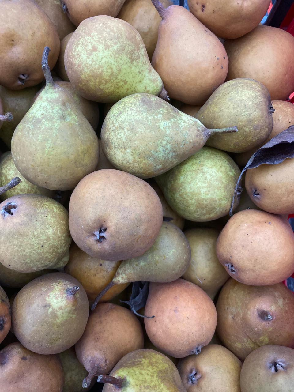 Stoofperen. Gieser Wildeman. Biologisch.