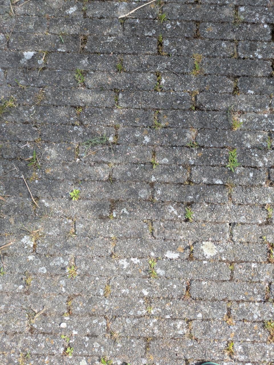 Klinkers ~18m2 (20x5x7cm)