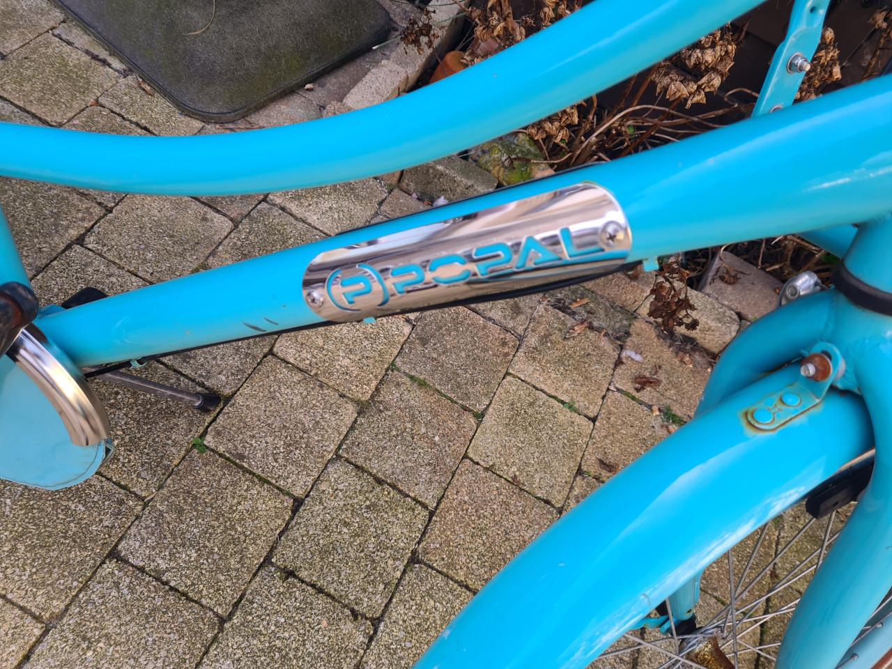 Popal Daily Dutch transportfiets 24 inch