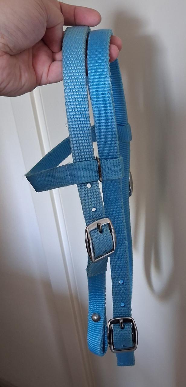 Pony hoofdstel met teugels Nylon western