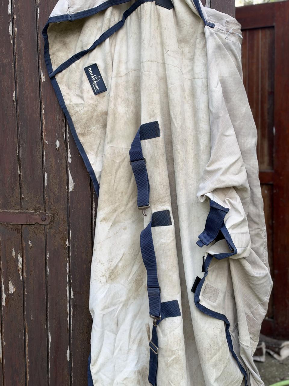 Paardendekens