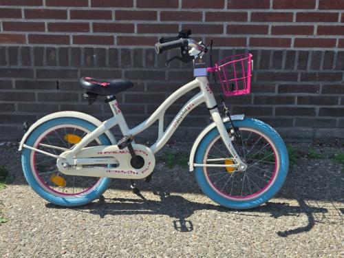 Alpina ocean meisjes 16'' van 359 voor 135 inruil mogelijk