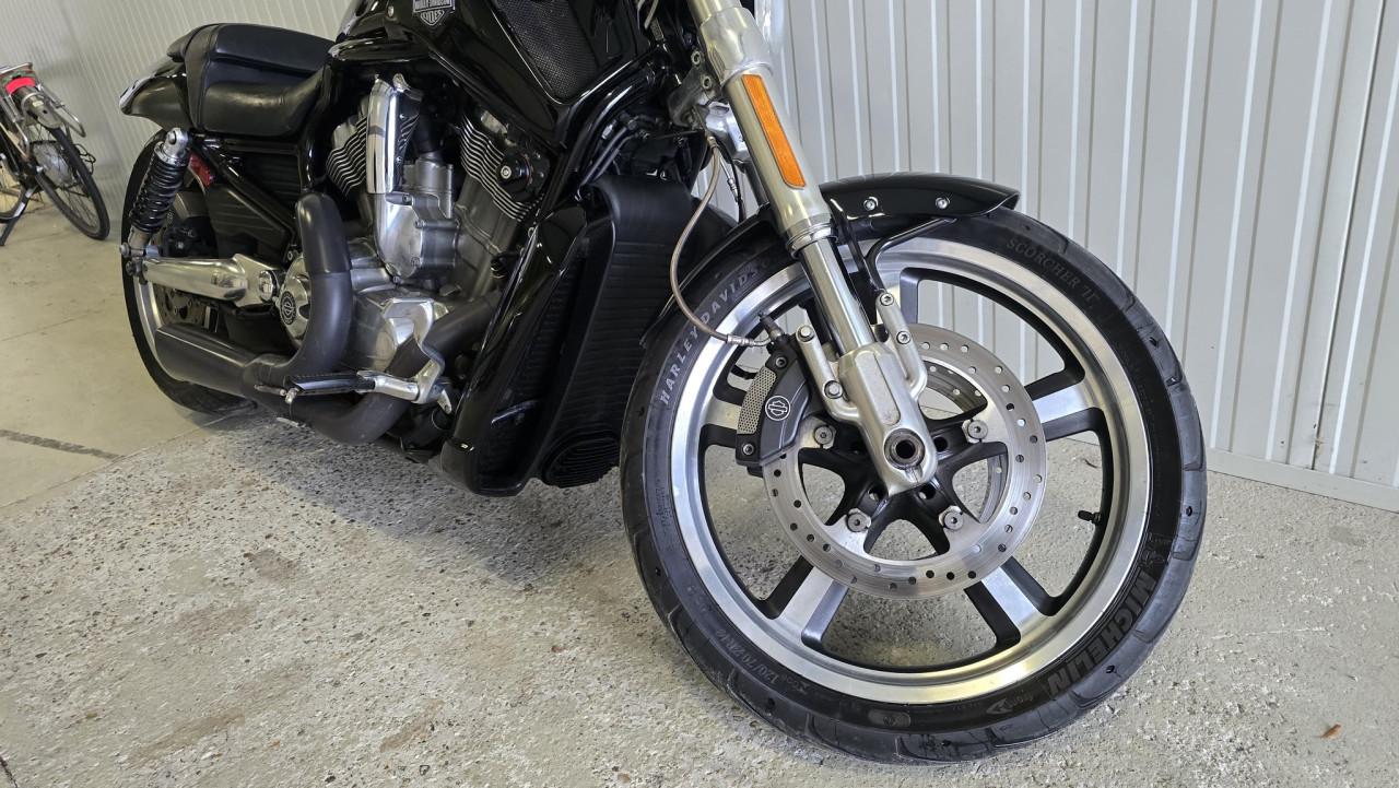 Sportieve Harley-Davidson Night Rod Special