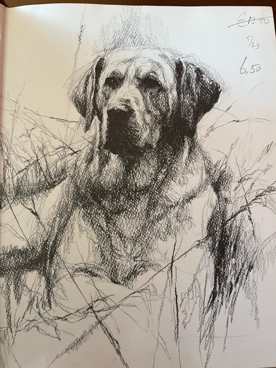 Rien Poortvliet. 2 boeken. Te hooi en te gras/Braaf.