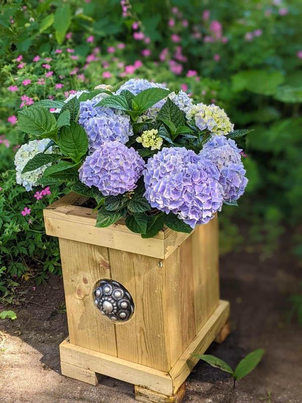 Zeeuwse knop bloembak L32 x B35 x H45 10jr Jubileum actie