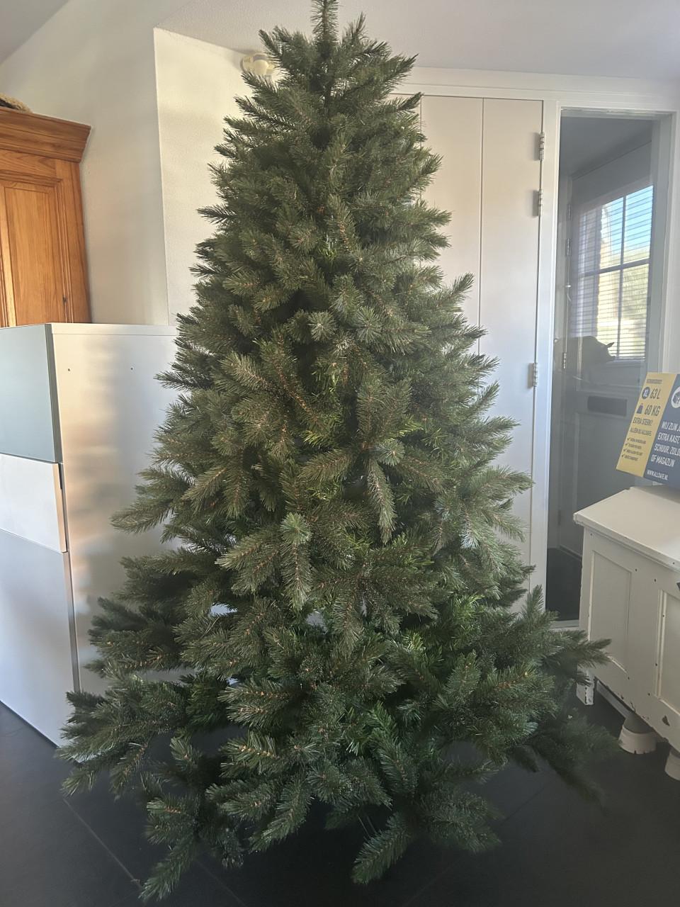 Kerstboom 2.00 hoog , afkomstig vd Intratuin Zeer mooi!