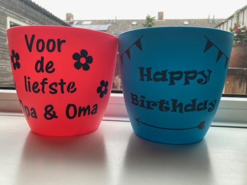 Blijmakende bloempotjes, kauwgomballen machine en vrolijke lampions