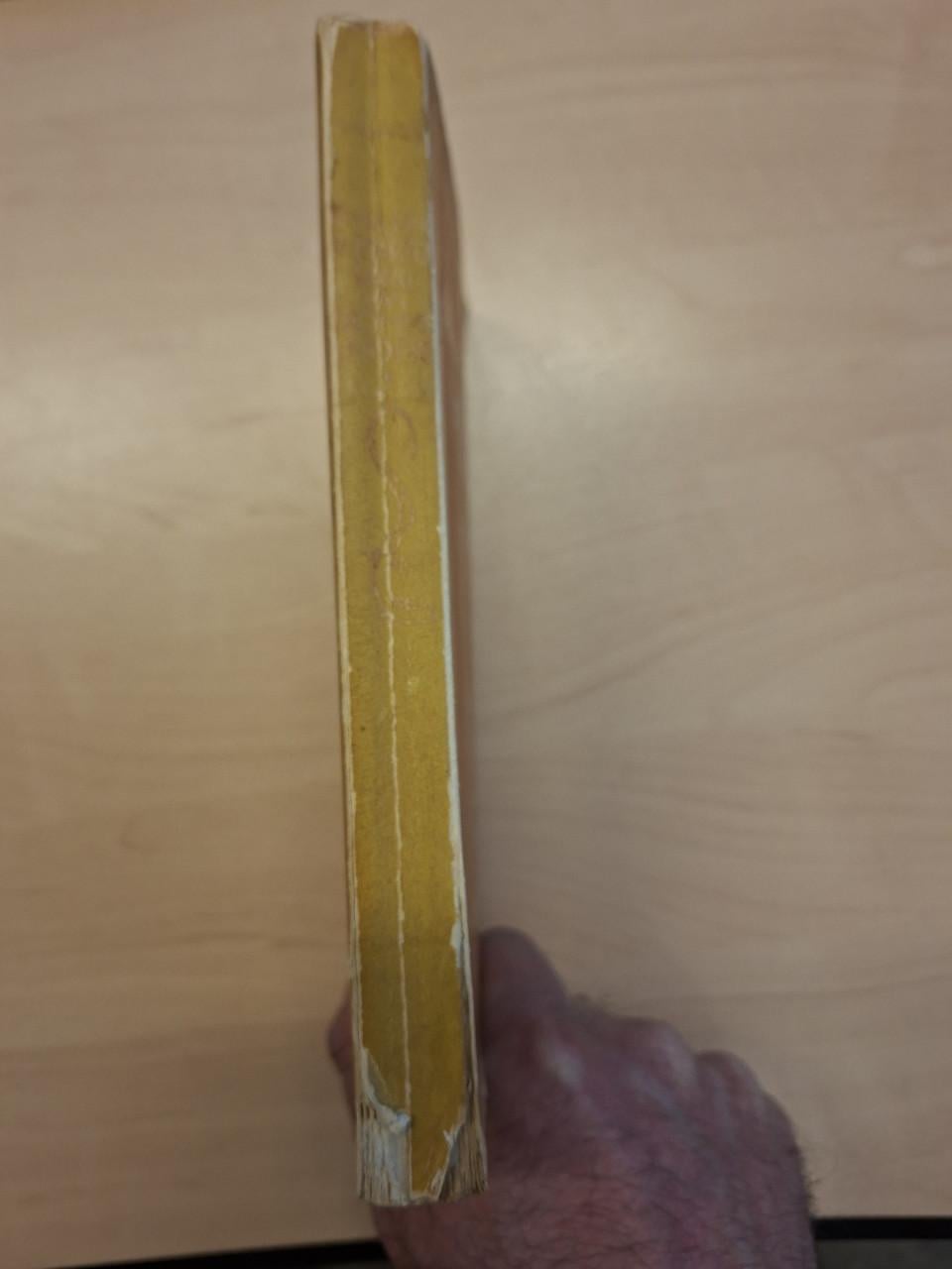 De Martelgang van Kromme Lindert roman van A.M. de Jong uitgave De Salamand