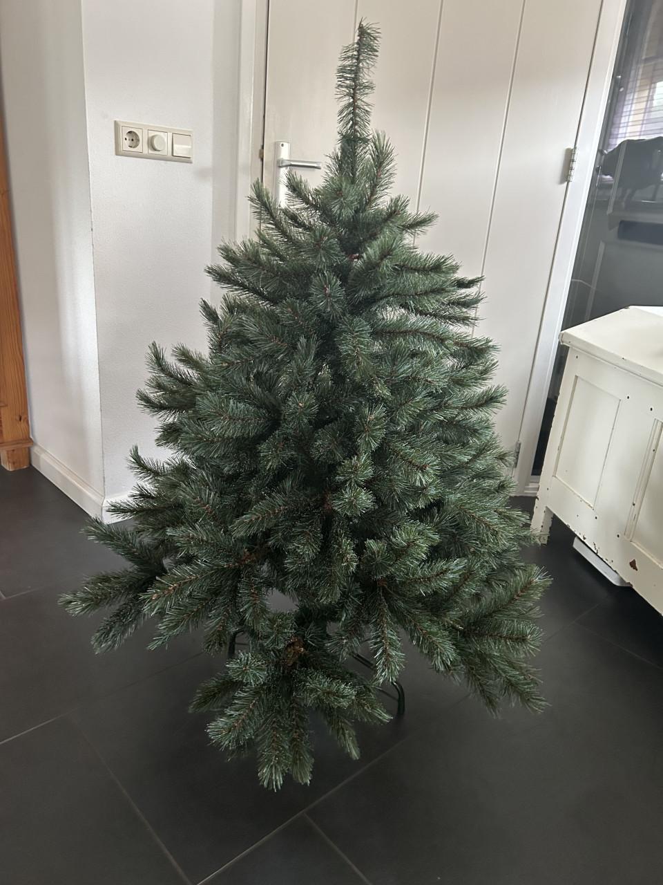 Kerstboom Romagne Intratuin