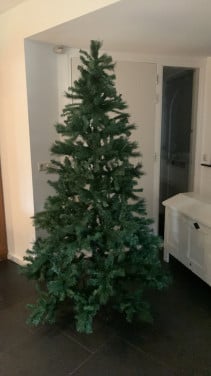 Kerstboom 2.10 hoog