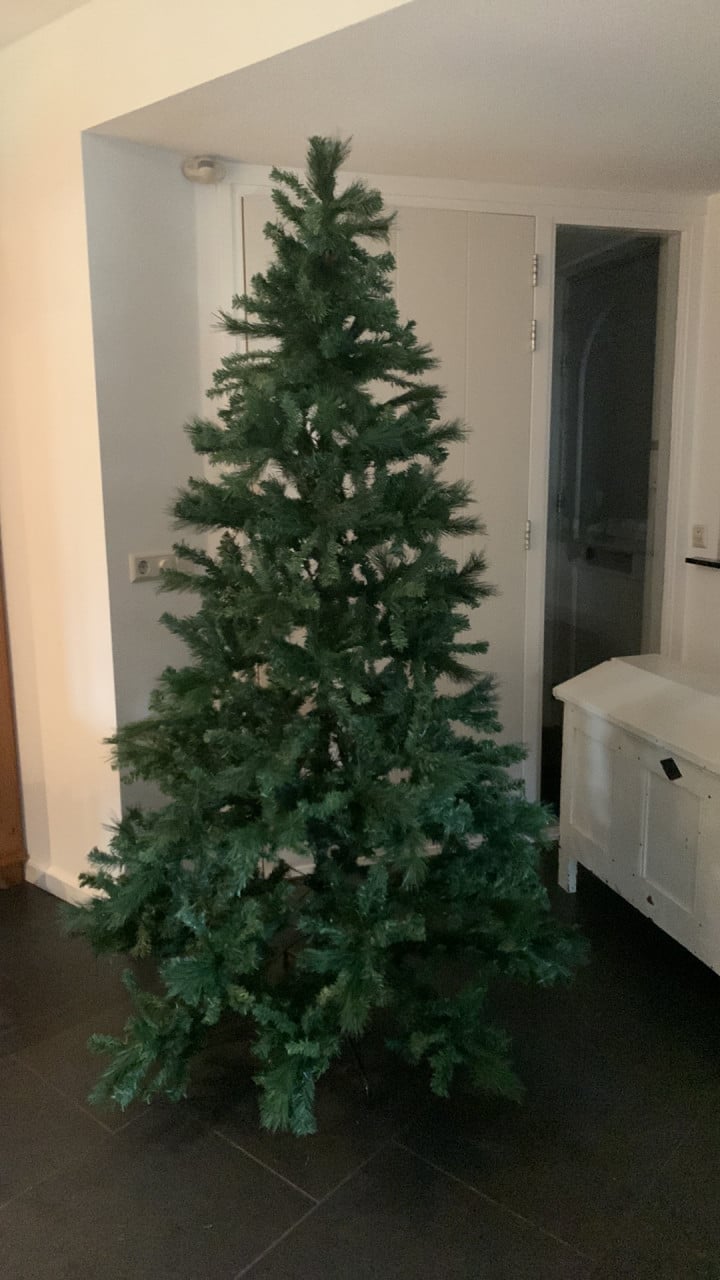 Kerstboom 2.10 hoog