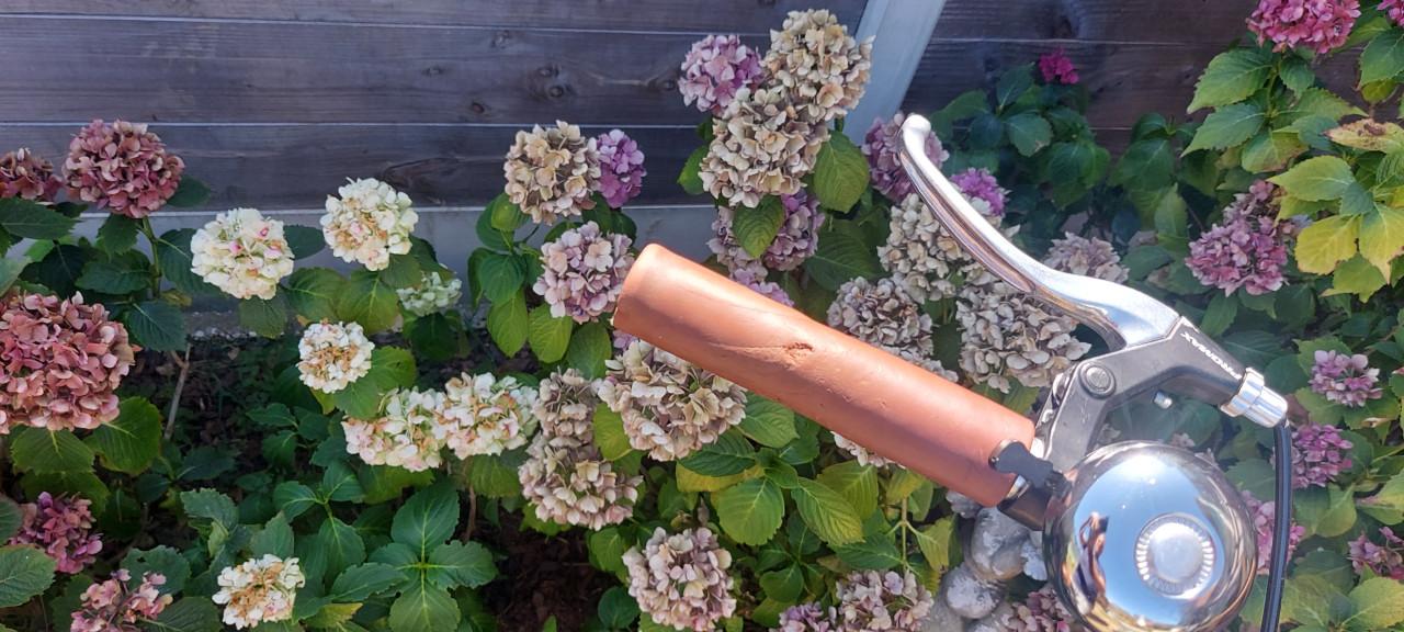 Wheelerz Cargo Meisjes (26 inch)