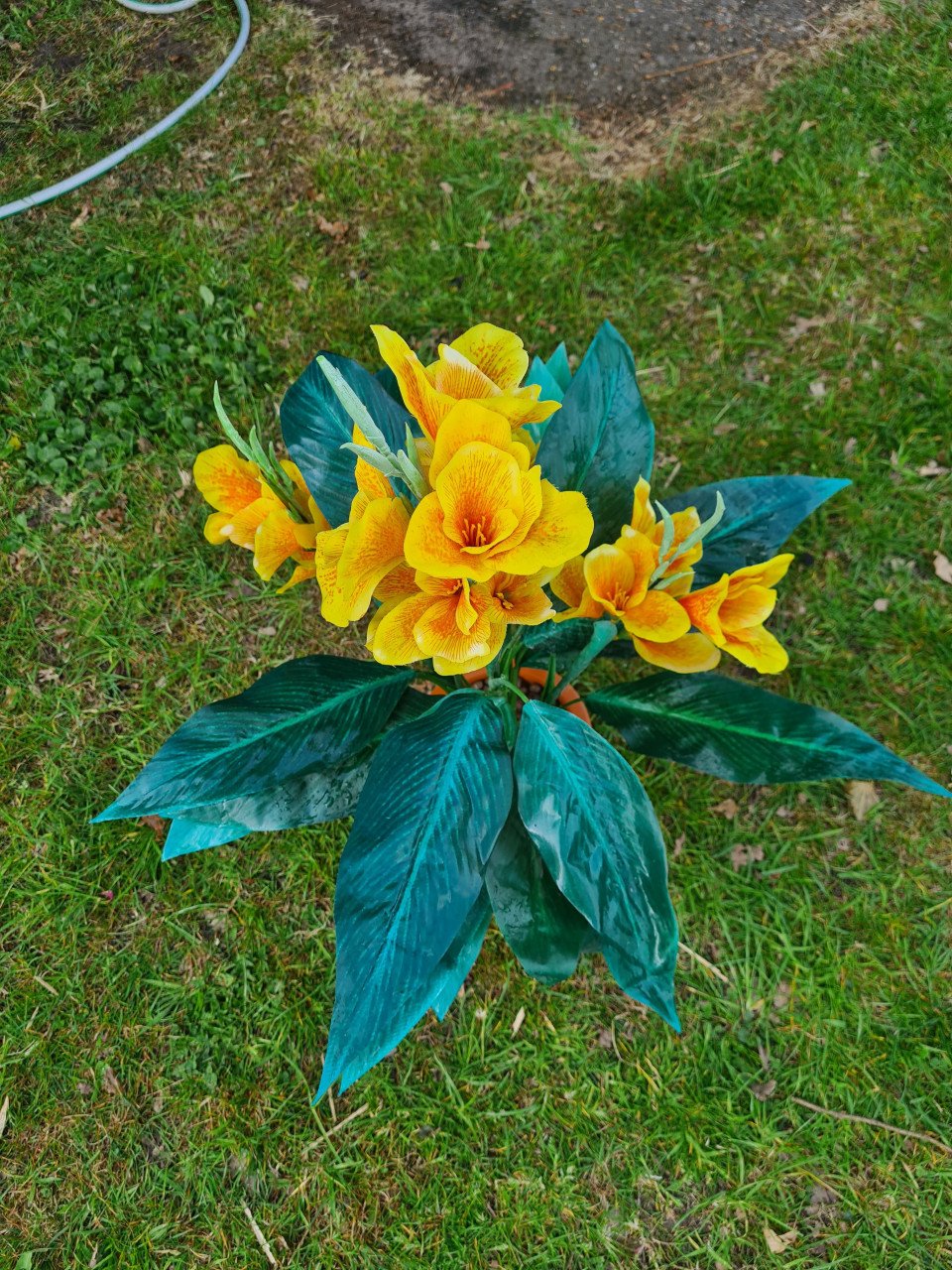 Nep planten