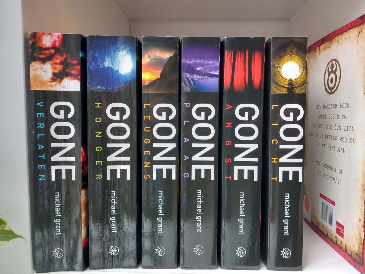 Boeken uit de serie Gone