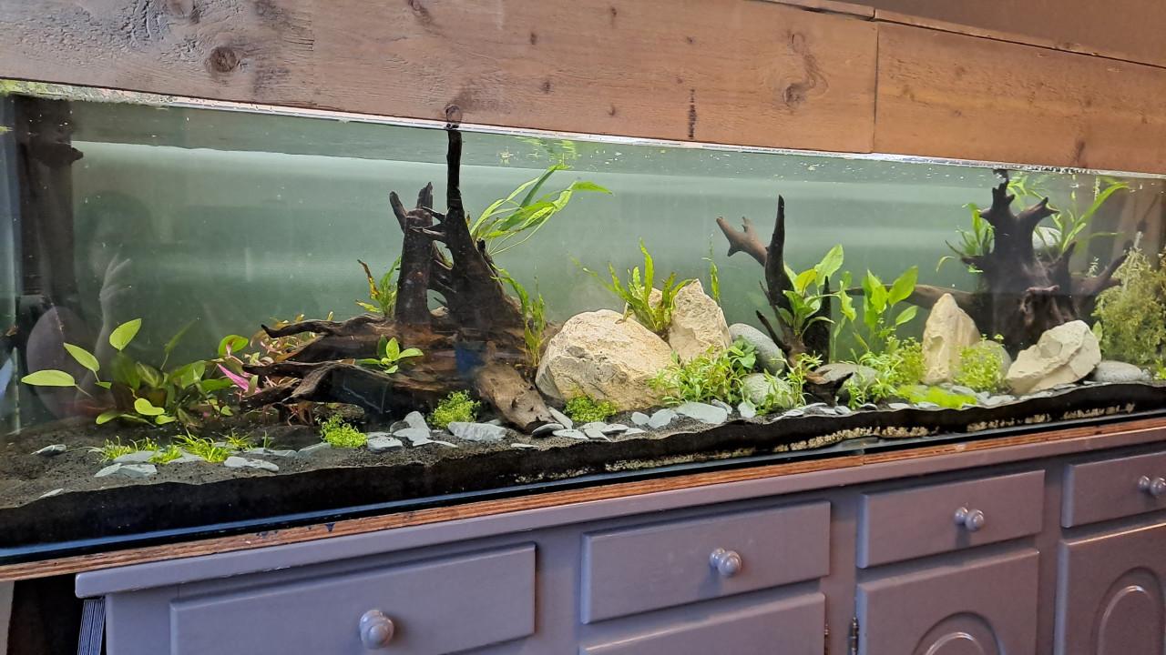 Aquarium (250cm) met onderkast en Fluval FX4 pomp