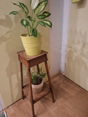 Plantetafeltje