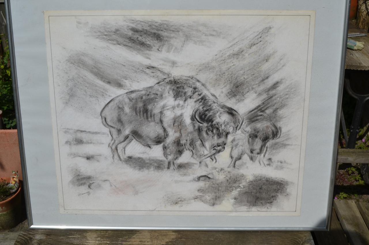 Houtskool 2 bizons in de sneeuw? H. Tummers 1991