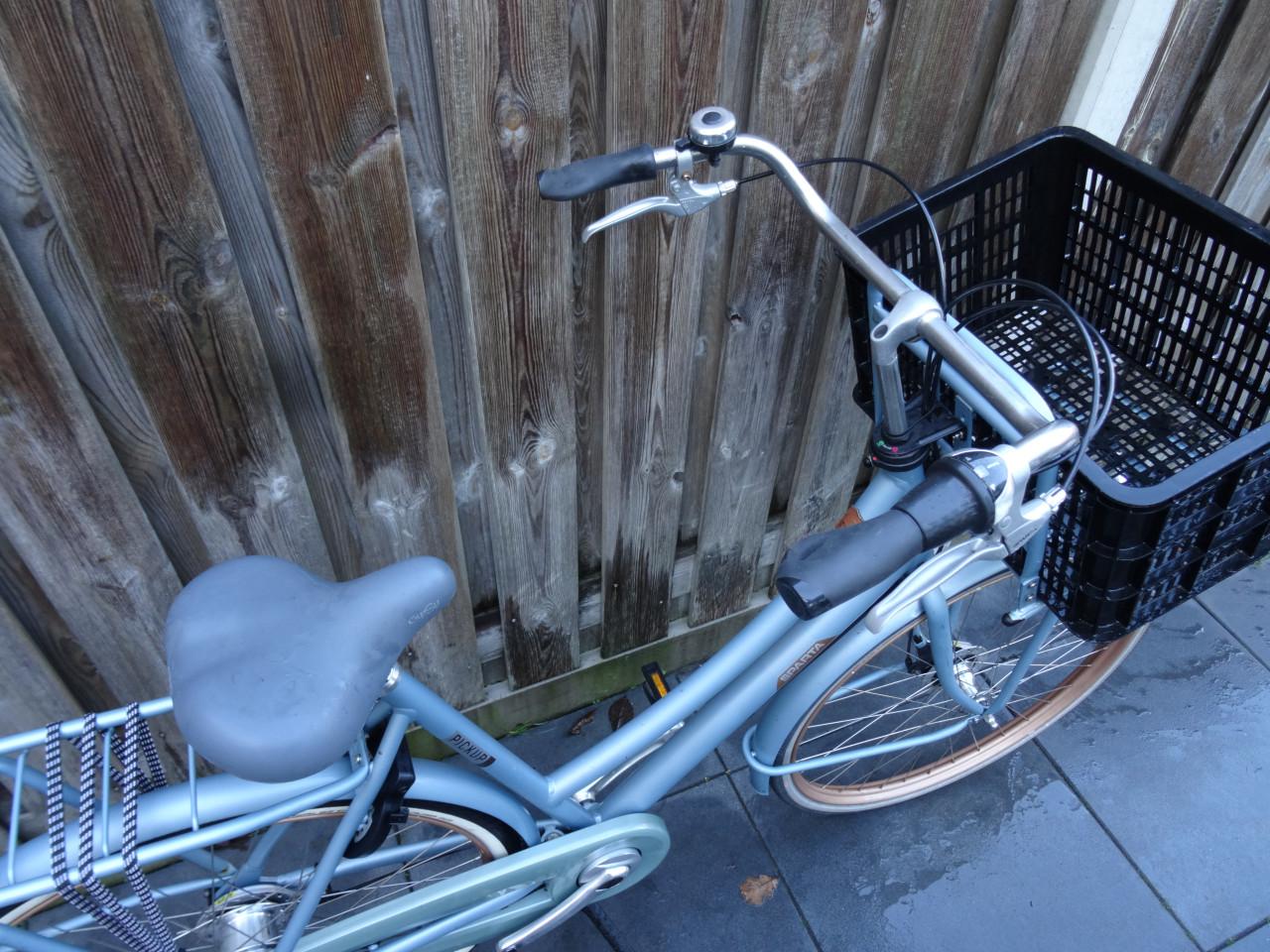 🚲 Sparta Pickup Transportfiets 28 inch – Dames | Frame 57 cm