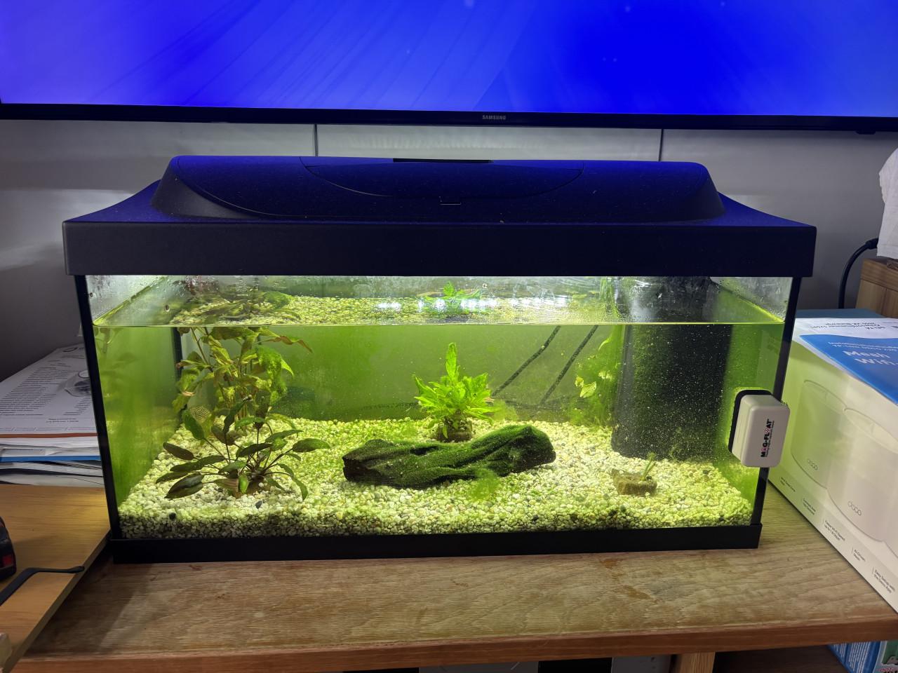 Aquarium