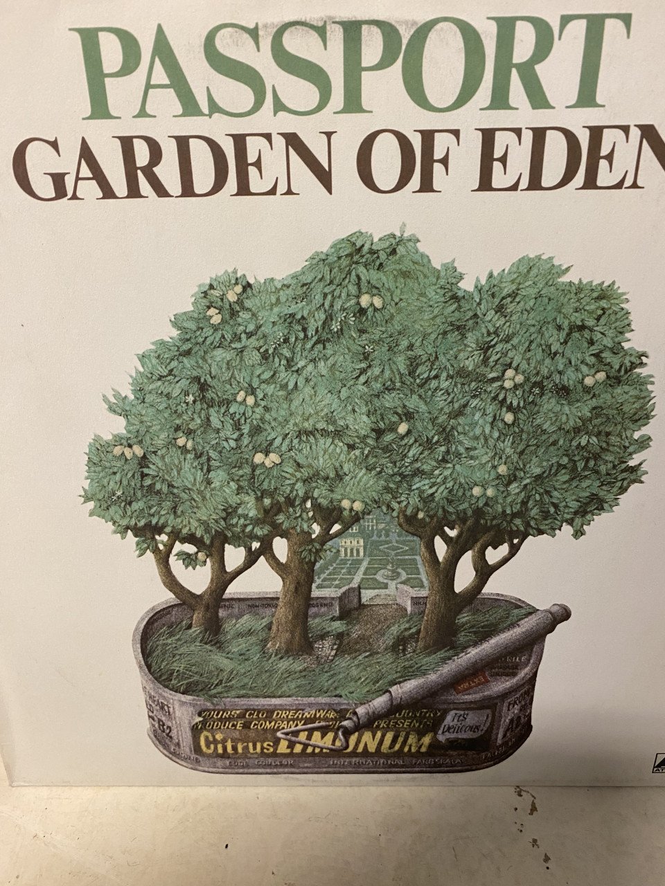 Veel LP,s…Rock Pop enz