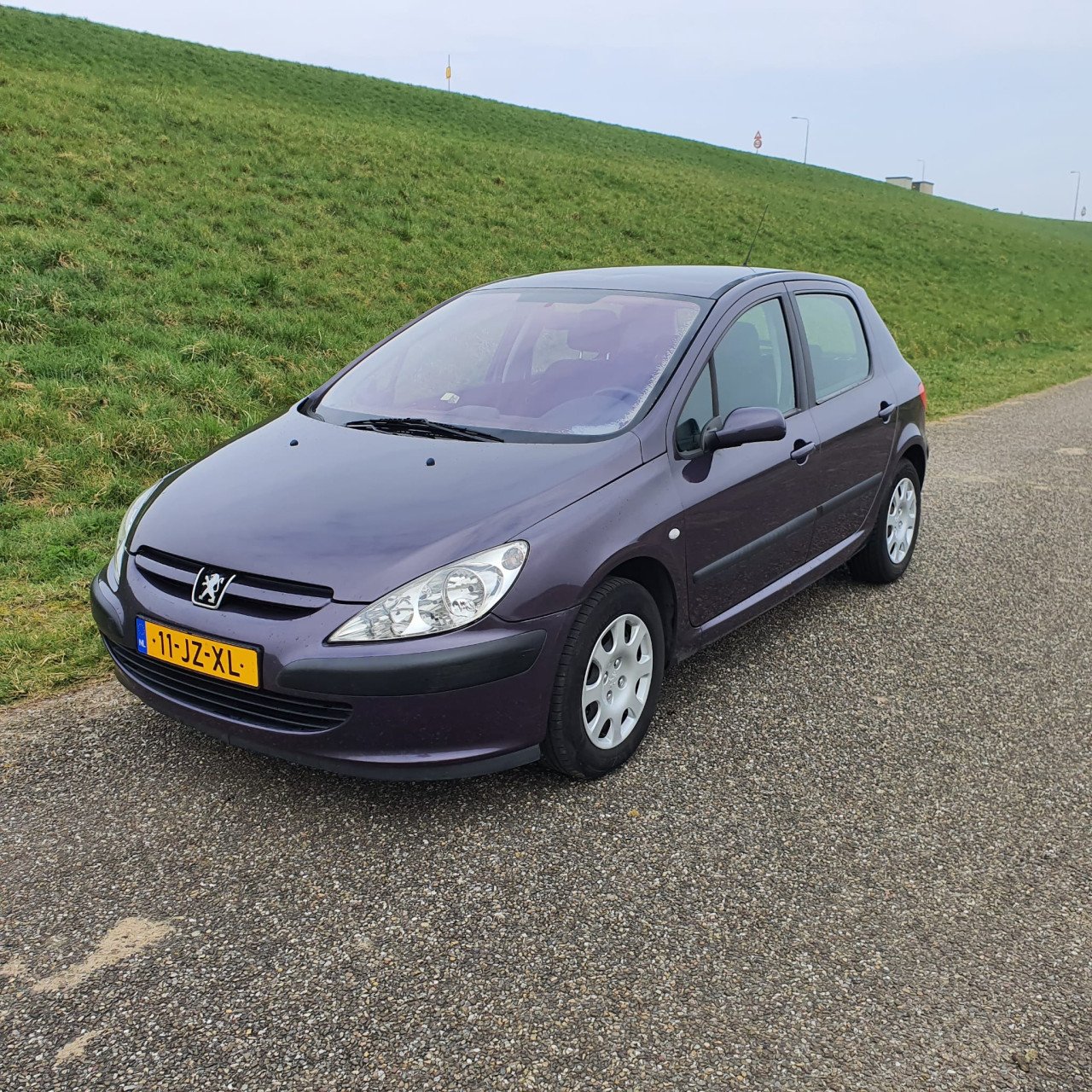 Peugeot 307 1.6-16V XS 5 deurs