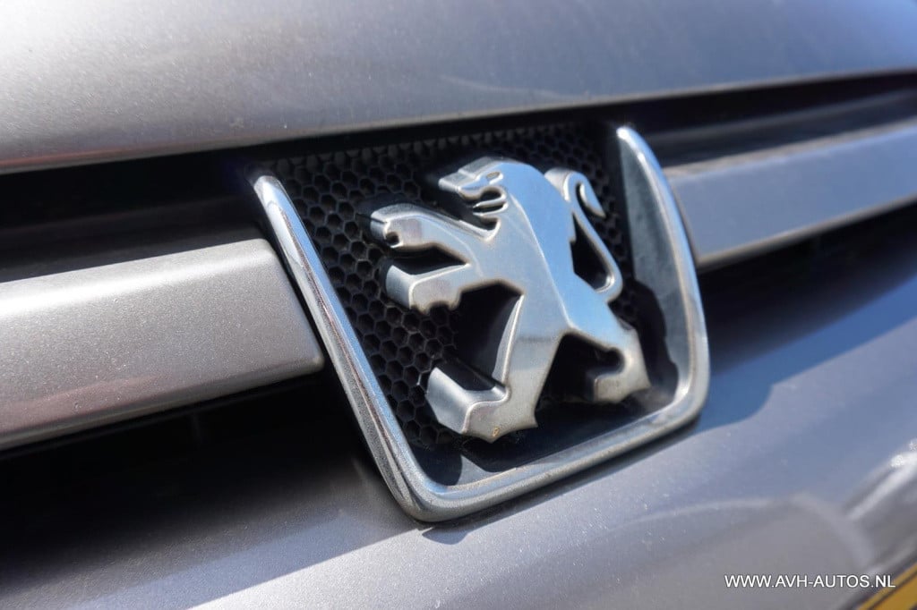 Peugeot 307 sw 1.6 16v, 7 - persoons!