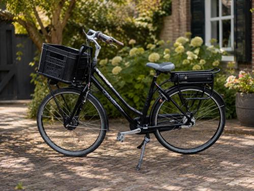 Gazelle miss grace ebike (als fiets of onderdelen))