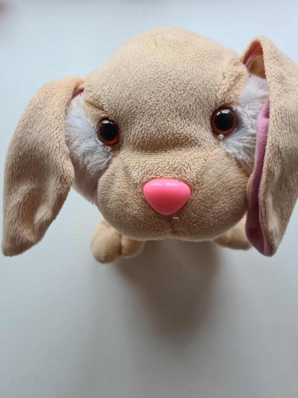 Deze schattige knuffel hond is in uitstekende staat, zo goed als nieuw.