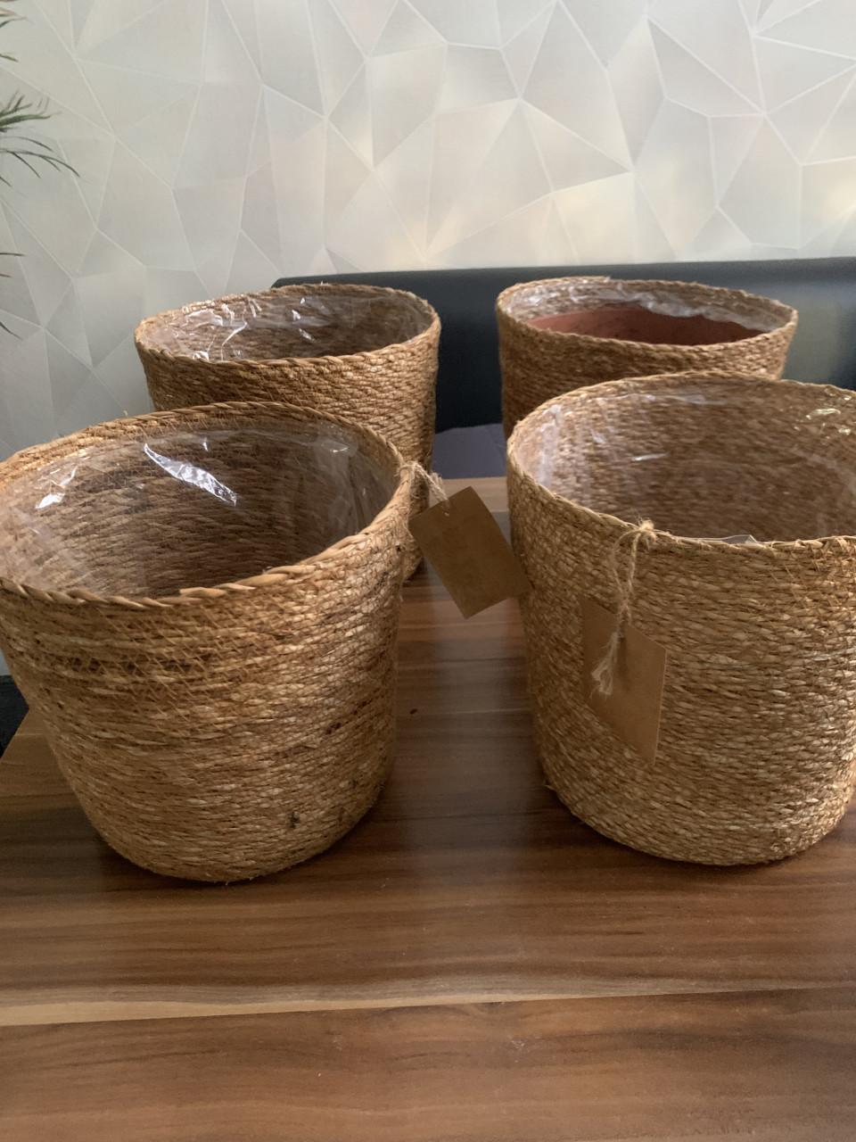 4 Rieten  bloempotten