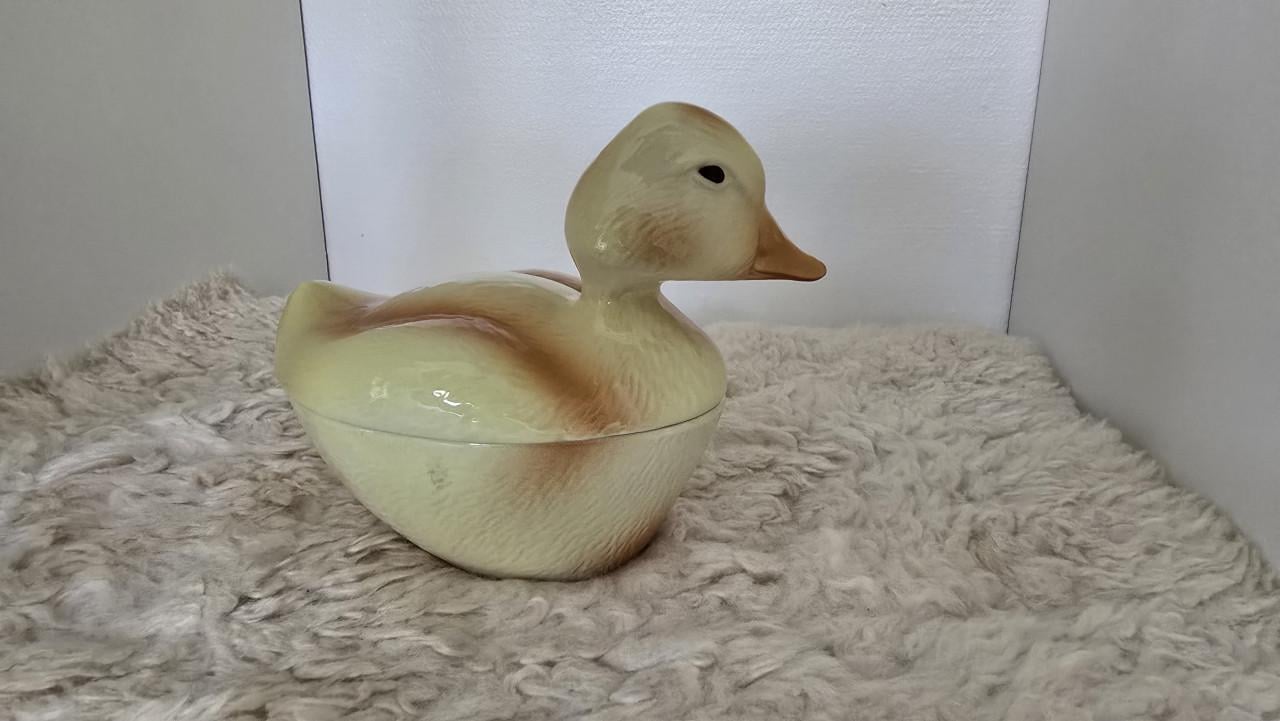 Patéschaal kuikentje Michel Caugant 🐤