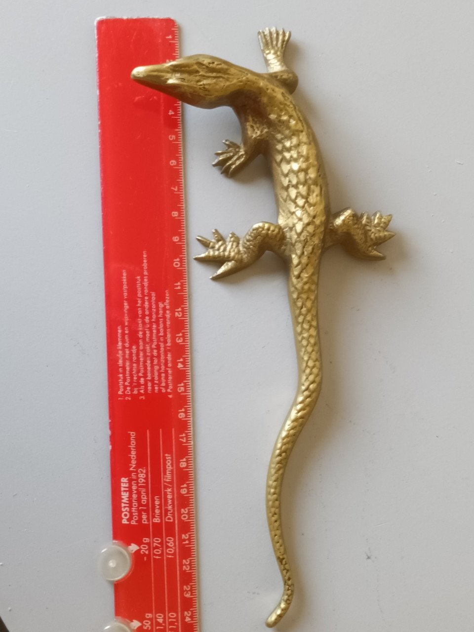 GROTE KOPEREN HAGEDIS