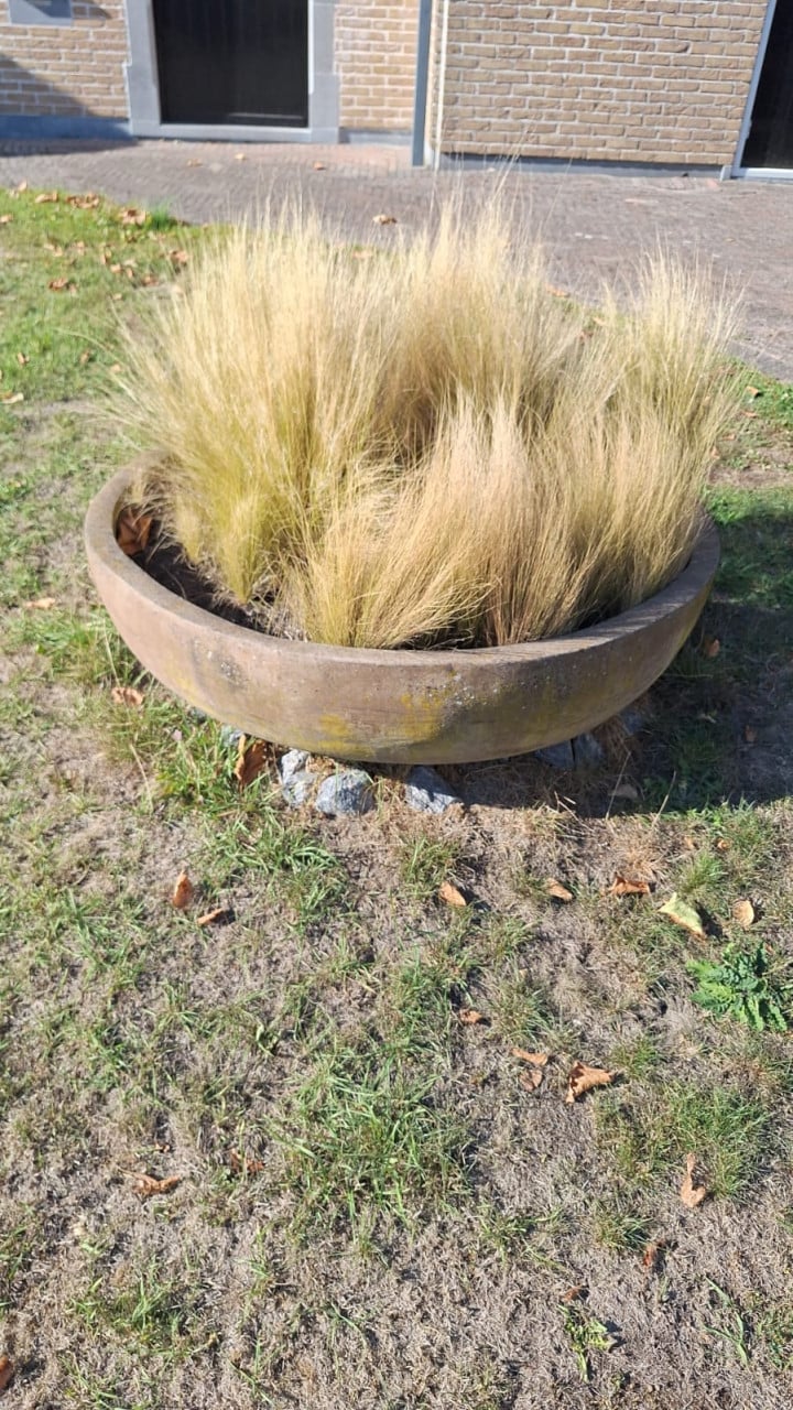 Plantenbak/schaal