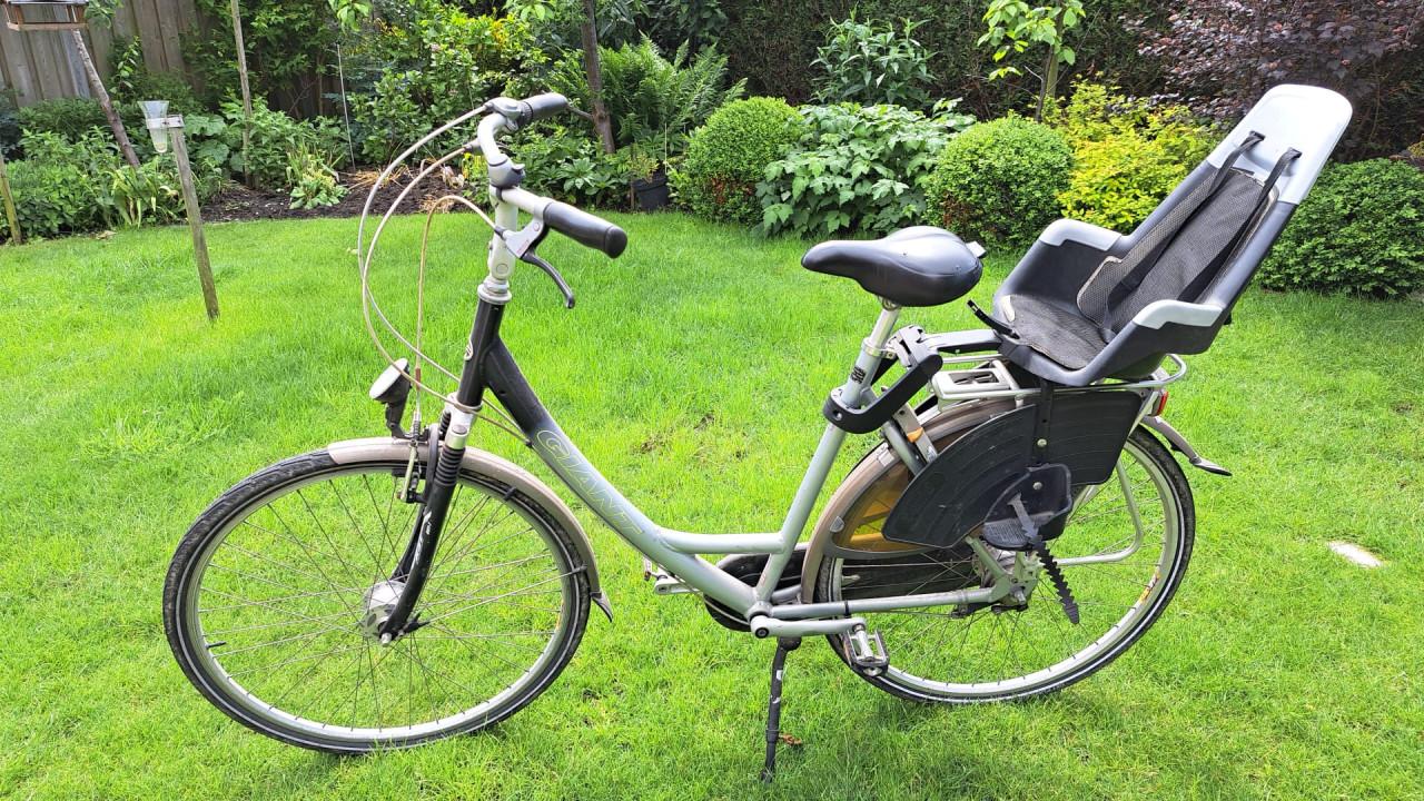 Fietsstoel achter