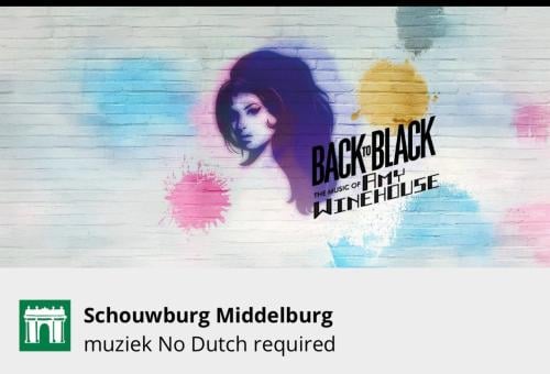 Concertkaartje Amy Winehouse music Stadsschouwburg