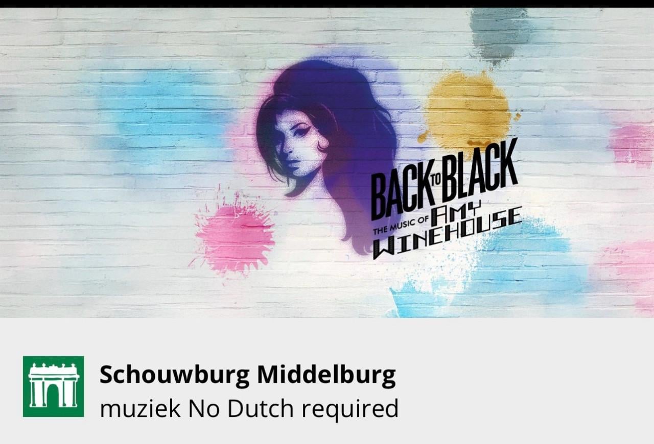 Concertkaartje Amy Winehouse music Stadsschouwburg