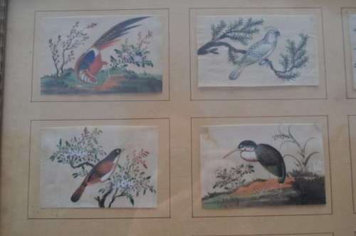 China 19e/20e eeuw 9 Aquarellen (klein) Vogels