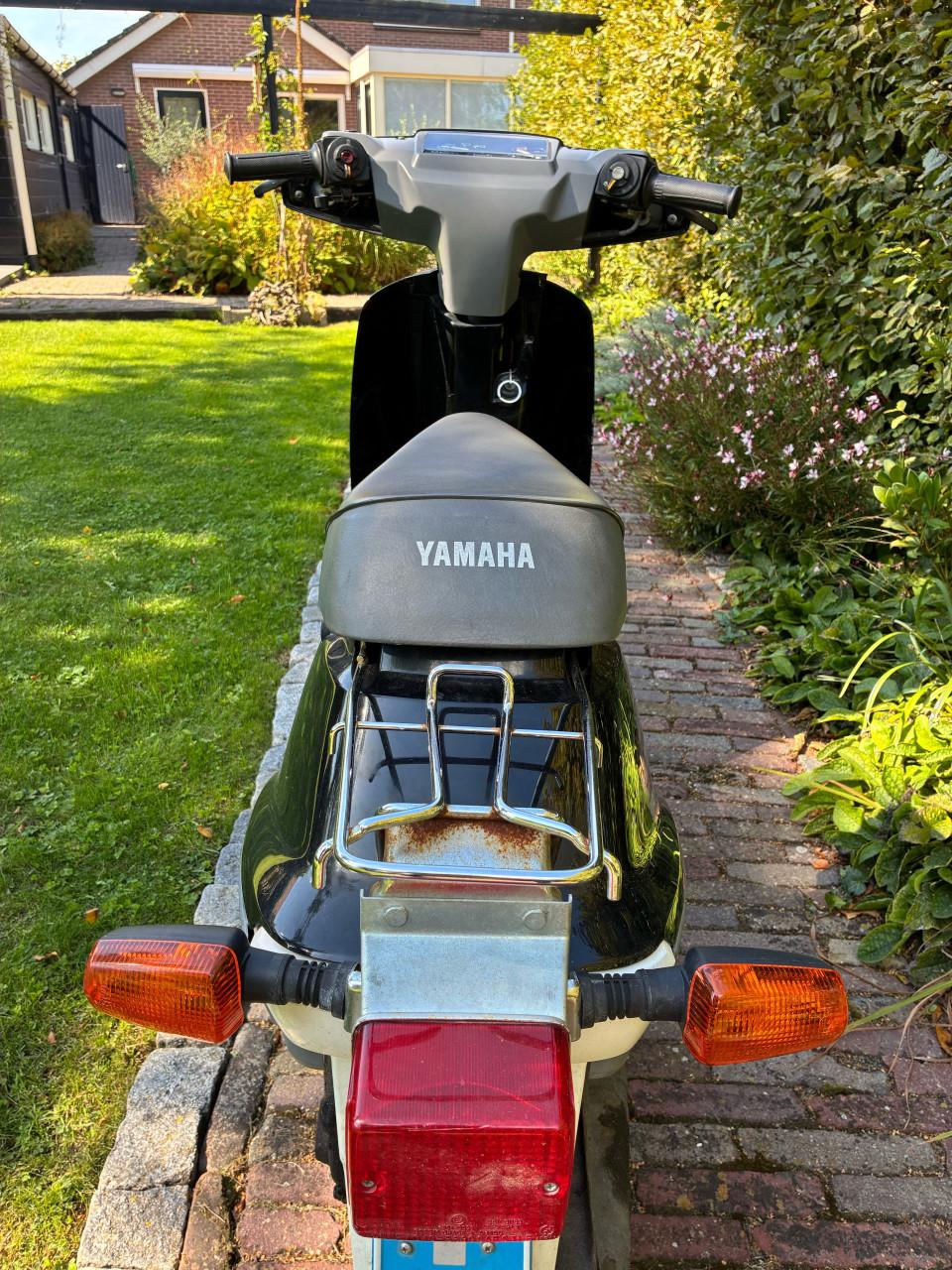 Yamaha mint
