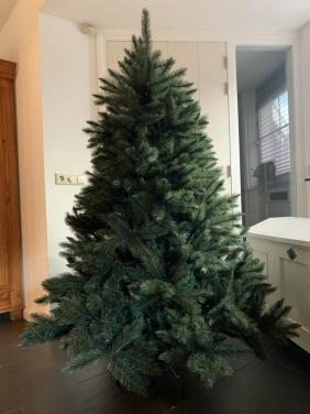 Kerstboom 1.85 m hoog Intratuin 1 jaar oud!