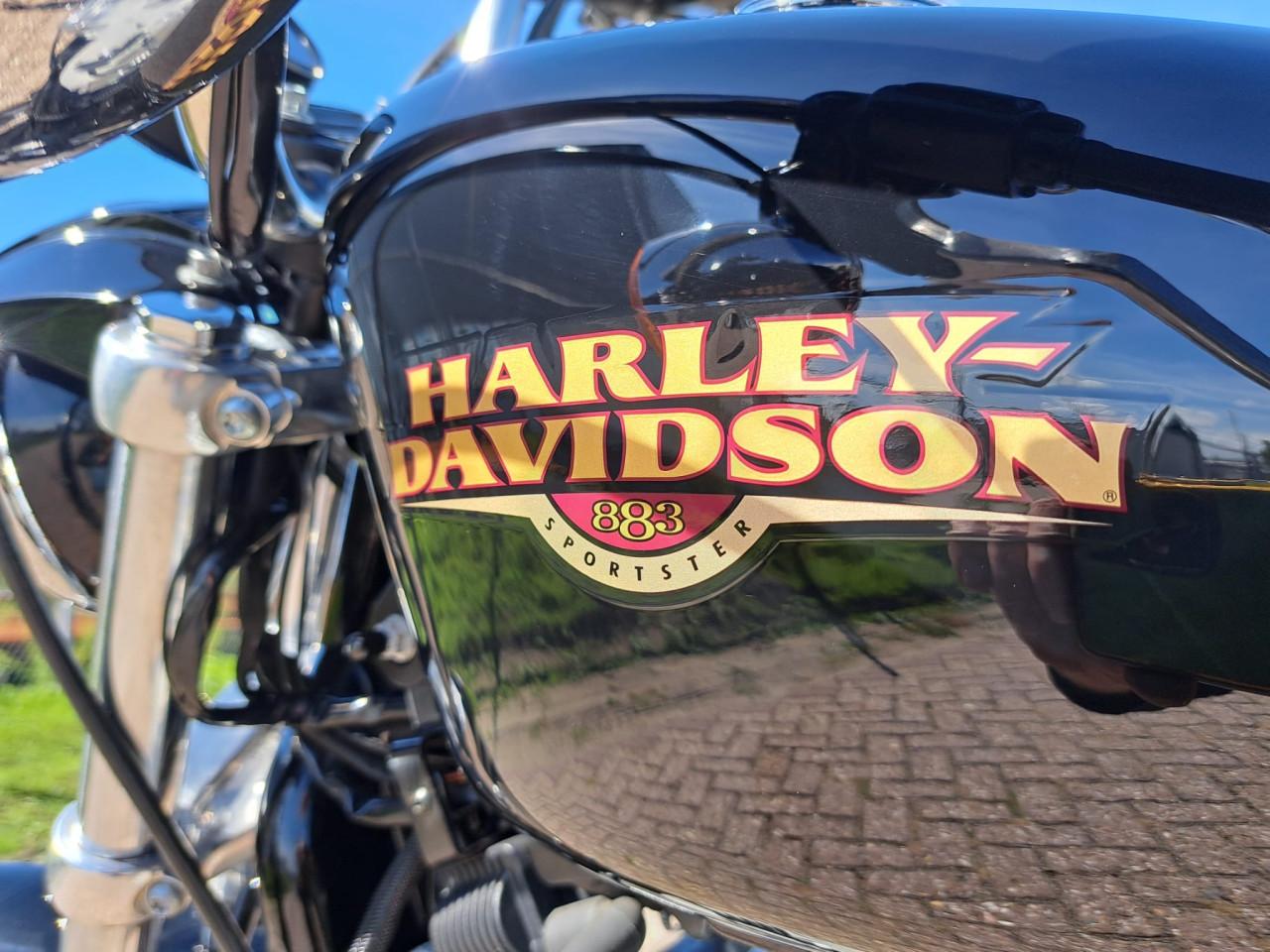 Harley Davidson Sportster 883 Low