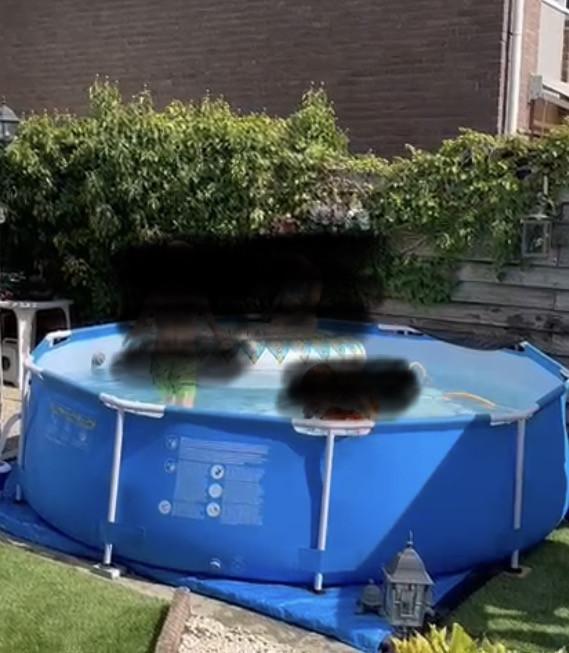 Zwembad te koop!