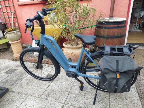 Gazelle Chamonix T10 grey/blue 53