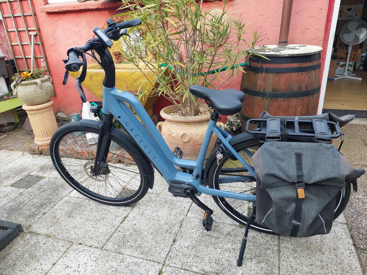 Gazelle Chamonix T10 grey/blue 53