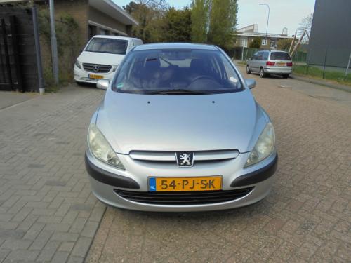 307 Hatchback leuke auto met diverse optie's Apk en N.A.P € 1250