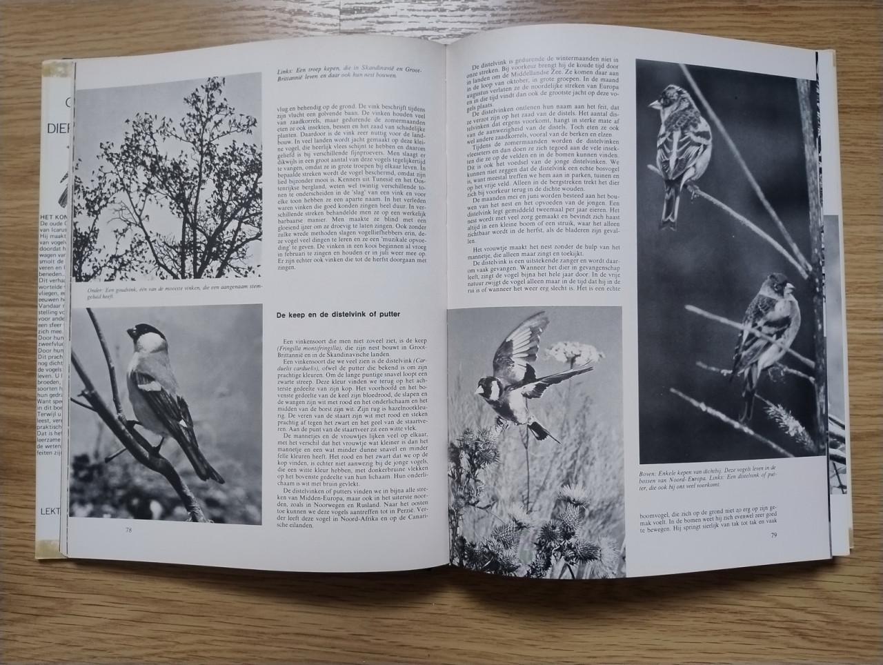 Complete 10 delige serie over de Geheimen van het Dierenrijk