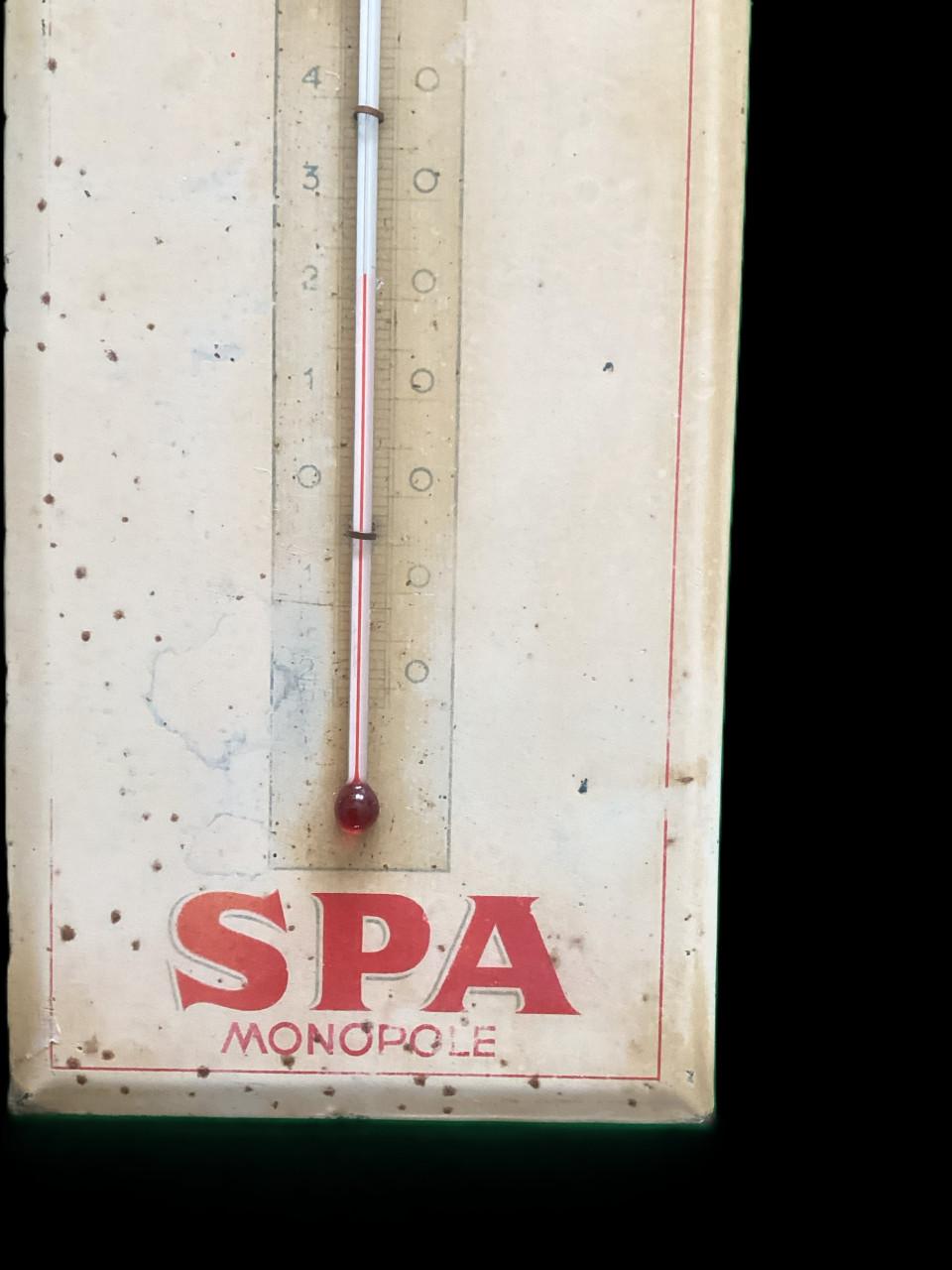Spa thermometer